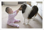 Good doggy. Yummy?